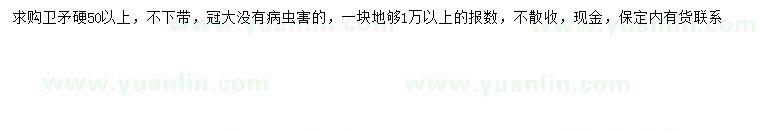 求購50公分以上衛(wèi)矛