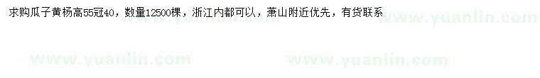 求購高55公分瓜子黃楊