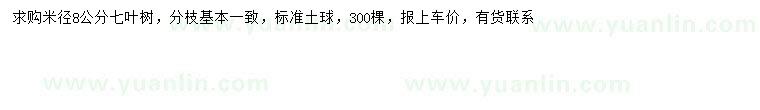 求購(gòu)米徑8公分七葉樹(shù)