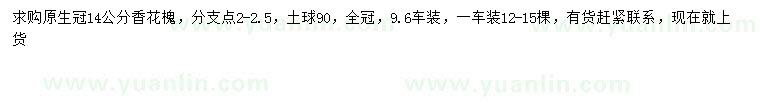 求購(gòu)14公分香花槐