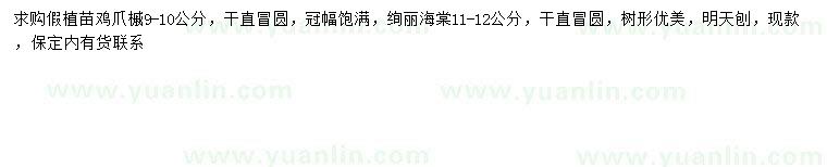 求購(gòu)9-10公分雞爪槭、11-12公分絢麗海棠