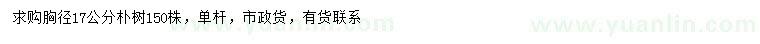 求購(gòu)胸徑17公分樸樹