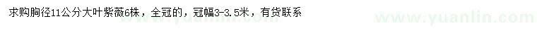 求購胸徑11公分大葉紫薇