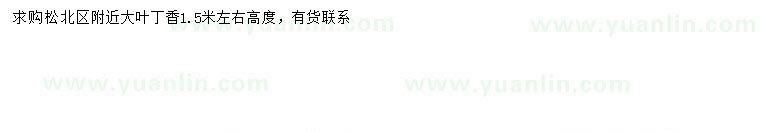 求購(gòu)高1.5米左右大葉丁香