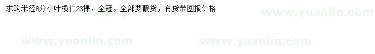 求購米徑8公分小葉欖仁