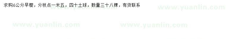 求購6公分早櫻