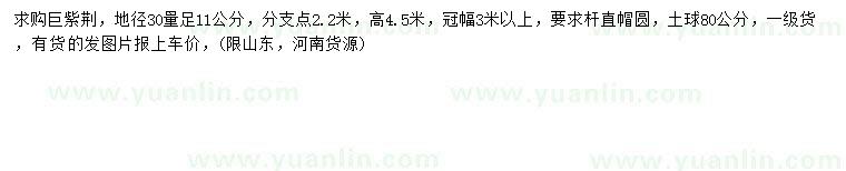 求購30量11公分巨紫荊