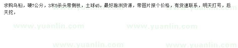 求購7公分烏桕