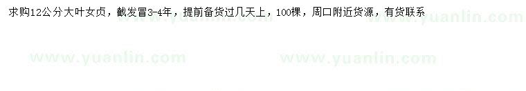 求購12公分大葉女貞