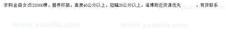 求購高40公分以上金森女貞