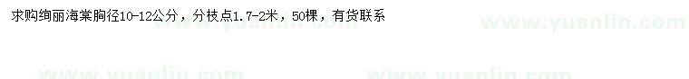 求購胸徑10-12公分絢麗海棠