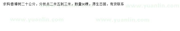 求購20公分香樟