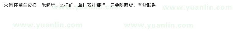 求購(gòu)1米以上白皮松