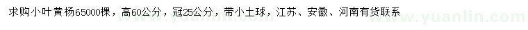 求購(gòu)高60公分小葉黃楊
