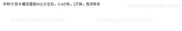求購(gòu)80公分左右水蠟