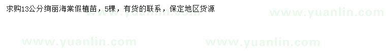 求購(gòu)13公分絢麗海棠