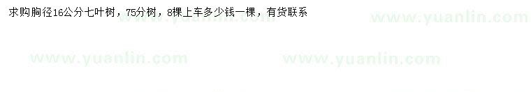 求購胸徑16公分七葉樹