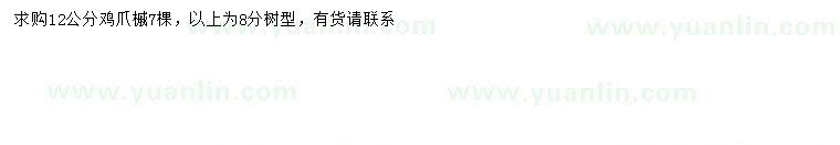 求購12公分雞爪槭