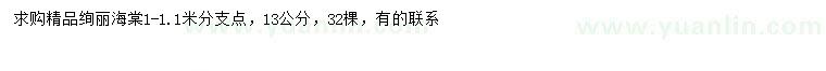 求購(gòu)13公分絢麗海棠