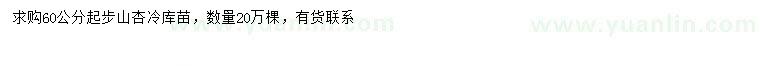 求購60公分以上山杏