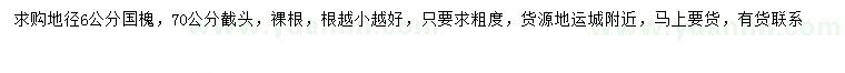 求購地徑6公分國槐