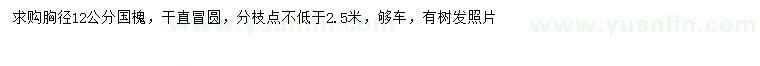求購胸徑12公分國槐