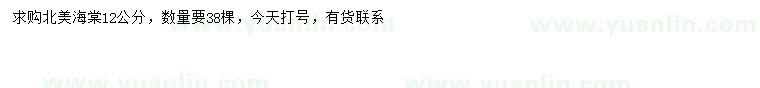 求購12公分北美海棠