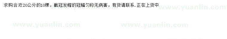 求購(gòu)20公分合歡