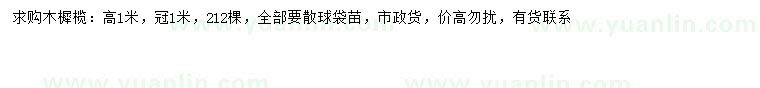 求購高1米木樨欖