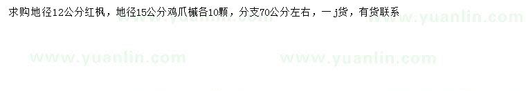 求購地徑12公分紅楓、地徑15公分雞爪槭