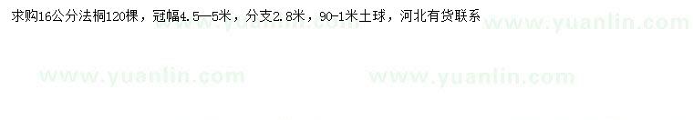 求購16公分法桐