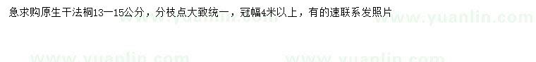 求購(gòu)13-15公分法桐