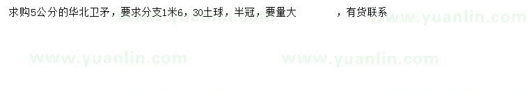 求購(gòu)5公分衛(wèi)矛