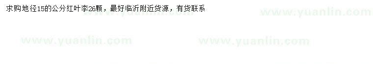 求購(gòu)地徑15公分紅葉李