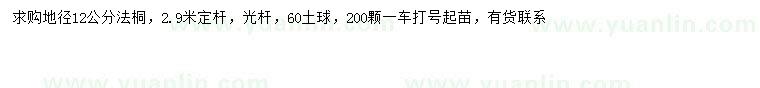 求購(gòu)地徑12公分法桐