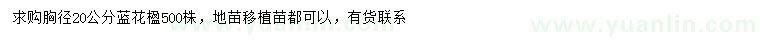 求購胸徑20公分藍花楹