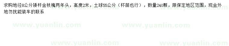 求購地徑8公分金枝槐