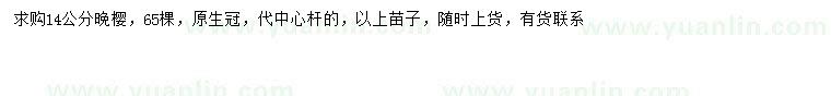 求購(gòu)14公分晚櫻