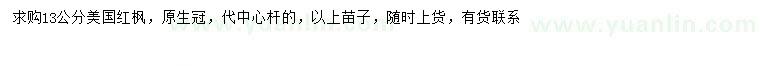求購(gòu)13公分美國(guó)紅楓