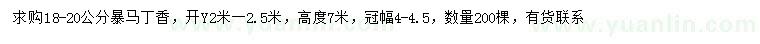 求購18-20公分暴馬丁香