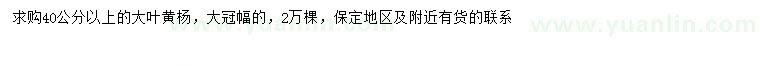 求購(gòu)40公分以上大葉黃楊