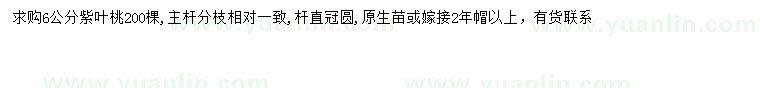 求購(gòu)6公分紫葉桃