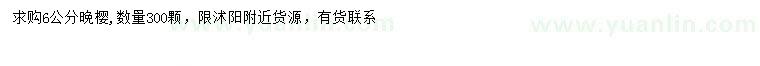 求購6公分晚櫻