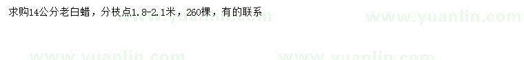 求購14公分老白蠟