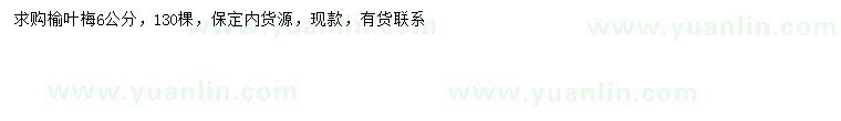 求購(gòu)6公分榆葉梅