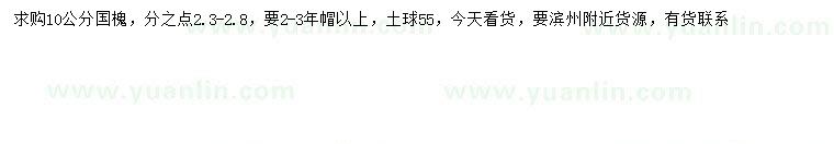 求購10公分國槐