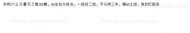 求購6公分暴馬丁香