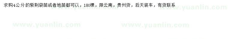 求購4公分紫荊