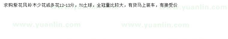 求購(gòu)12-13分紫花風(fēng)鈴木