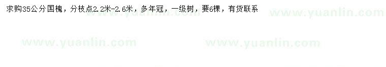 求購35公分國槐